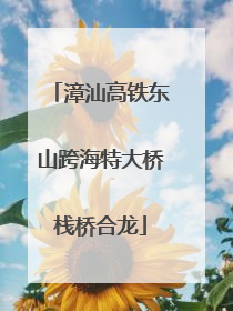 漳汕高铁东山跨海特大桥栈桥合龙