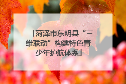菏泽市东明县“三维联动”构建特色青少年护航体系