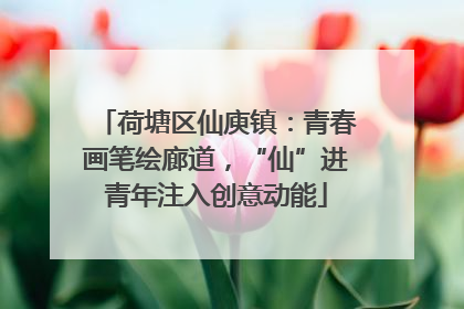 荷塘区仙庾镇：青春画笔绘廊道，“仙”进青年注入创意动能