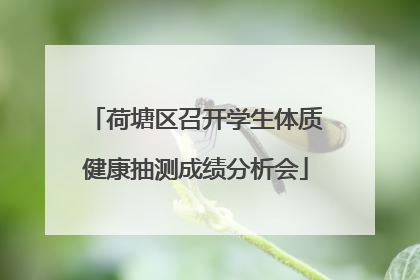 荷塘区召开学生体质健康抽测成绩分析会