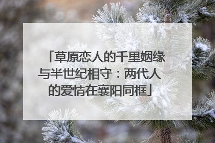 草原恋人的千里姻缘与半世纪相守：两代人的爱情在襄阳同框