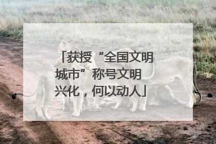 获授“全国文明城市”称号文明 兴化，何以动人
