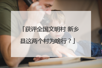 获评全国文明村 新乡县这两个村为啥行？