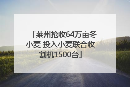 莱州抢收64万亩冬小麦 投入小麦联合收割机1500台