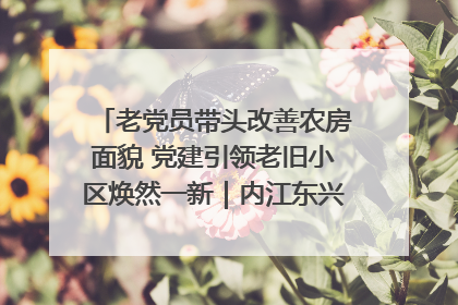 老党员带头改善农房面貌 党建引领老旧小区焕然一新｜内江东兴“红”在哪？④