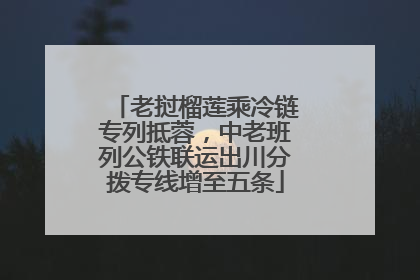 老挝榴莲乘冷链专列抵蓉，中老班列公铁联运出川分拨专线增至五条