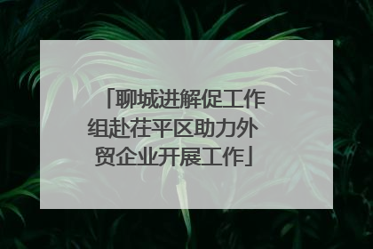 聊城进解促工作组赴茌平区助力外贸企业开展工作