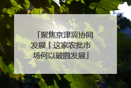 聚焦京津冀协同发展丨这家农批市场何以破圈发展