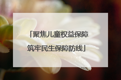 聚焦儿童权益保障 筑牢民生保障防线