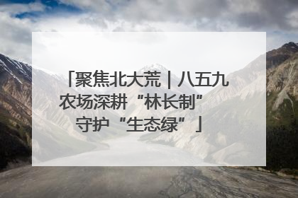 聚焦北大荒｜八五九农场深耕“林长制” 守护“生态绿”