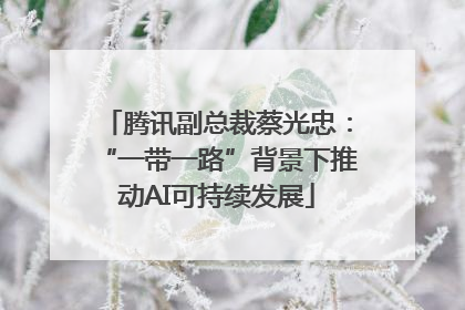 腾讯副总裁蔡光忠：“一带一路”背景下推动AI可持续发展