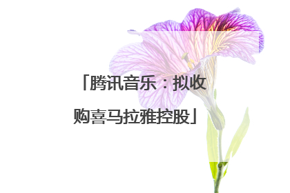 腾讯音乐：拟收购喜马拉雅控股