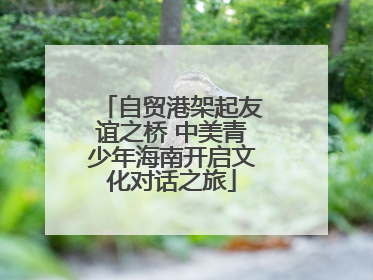 自贸港架起友谊之桥 中美青少年海南开启文化对话之旅