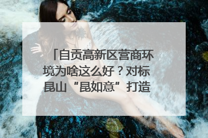 自贡高新区营商环境为啥这么好？对标昆山“昆如意”打造自贡“高兴办”｜美好生活有“盐”味