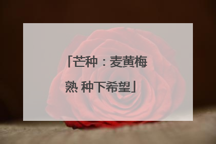 芒种：麦黄梅熟 种下希望