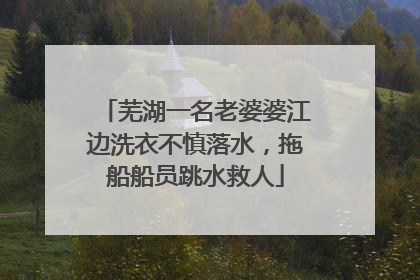 芜湖一名老婆婆江边洗衣不慎落水，拖船船员跳水救人