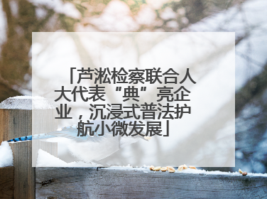 芦淞检察联合人大代表“典”亮企业，沉浸式普法护航小微发展