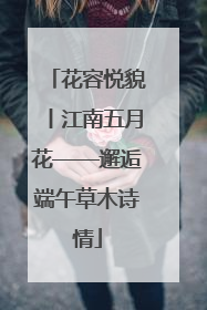 花容悦貌丨江南五月花——邂逅端午草木诗情