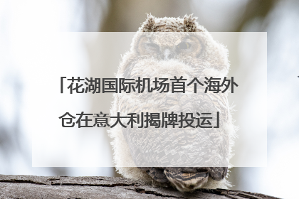 花湖国际机场首个海外仓在意大利揭牌投运
