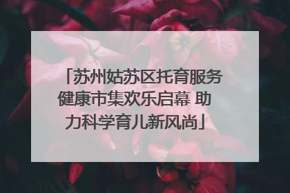 苏州姑苏区托育服务健康市集欢乐启幕 助力科学育儿新风尚