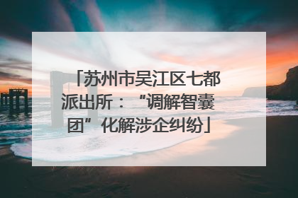 苏州市吴江区七都派出所：“调解智囊团”化解涉企纠纷