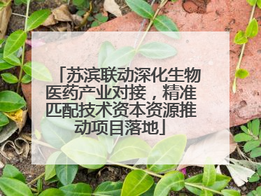 苏滨联动深化生物医药产业对接，精准匹配技术资本资源推动项目落地