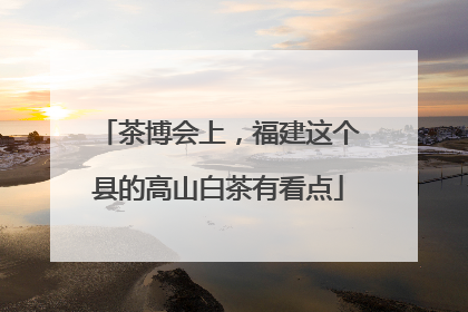 茶博会上，福建这个县的高山白茶有看点