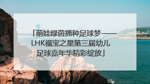萌娃绿茵播种足球梦——LHK福宝之星第三届幼儿足球嘉年华精彩绽放