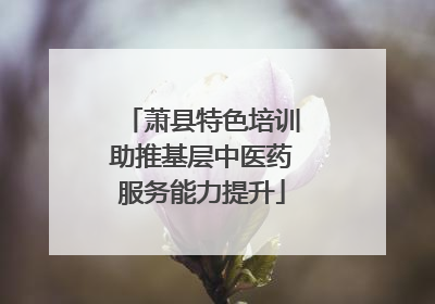 萧县特色培训助推基层中医药服务能力提升