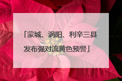 蒙城、涡阳、利辛三县发布强对流黄色预警