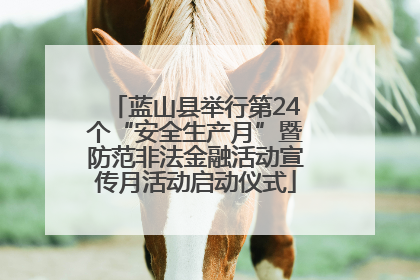 蓝山县举行第24个“安全生产月”暨防范非法金融活动宣传月活动启动仪式
