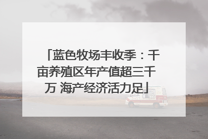 蓝色牧场丰收季：千亩养殖区年产值超三千万 海产经济活力足