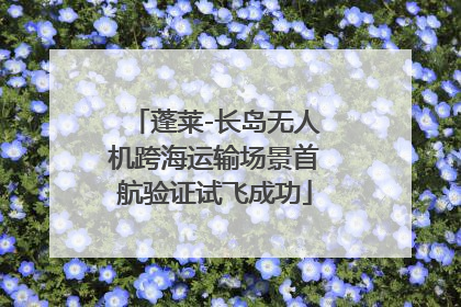 蓬莱-长岛无人机跨海运输场景首航验证试飞成功