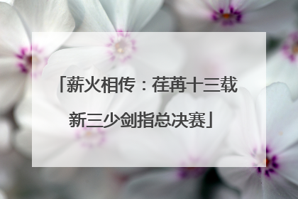 薪火相传：荏苒十三载 新三少剑指总决赛