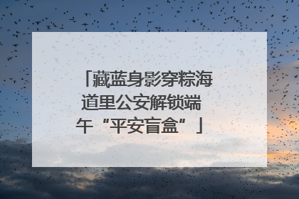 藏蓝身影穿粽海 道里公安解锁端午“平安盲盒”