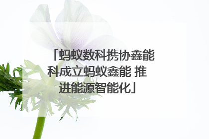 蚂蚁数科携协鑫能科成立蚂蚁鑫能 推进能源智能化