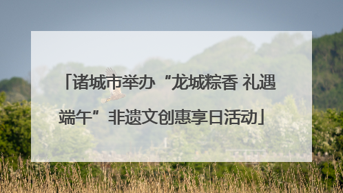诸城市举办“龙城粽香 礼遇端午”非遗文创惠享日活动