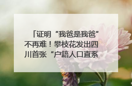 证明“我爸是我爸”不再难！攀枝花发出四川首张“户籍人口直系亲属关系谱”