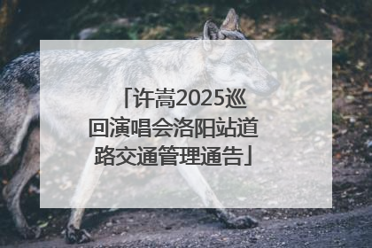 许嵩2025巡回演唱会洛阳站道路交通管理通告