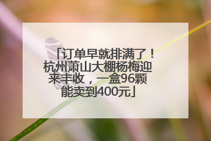 订单早就排满了！杭州萧山大棚杨梅迎来丰收，一盒96颗能卖到400元