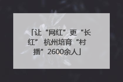 让“网红”更“长红” 杭州培育“村播”2600余人
