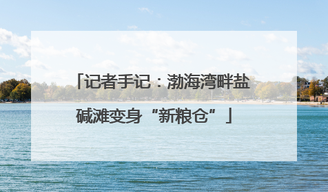 记者手记：渤海湾畔盐碱滩变身“新粮仓”