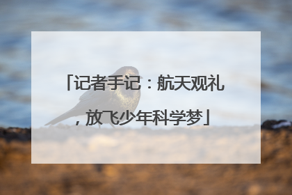 记者手记：航天观礼，放飞少年科学梦
