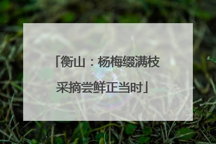 衡山：杨梅缀满枝 采摘尝鲜正当时