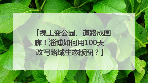 裸土变公园、道路成画廊！淄博如何用100天改写路域生态版图？