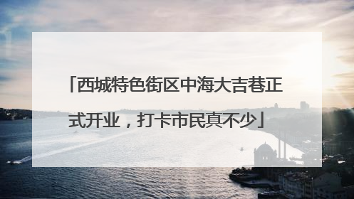 西城特色街区中海大吉巷正式开业，打卡市民真不少