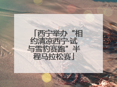 西宁举办“相约清凉西宁·试与雪豹赛跑”半程马拉松赛