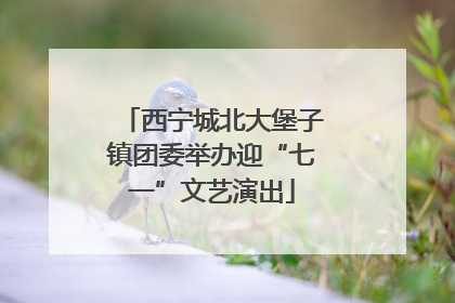 西宁城北大堡子镇团委举办迎“七一”文艺演出