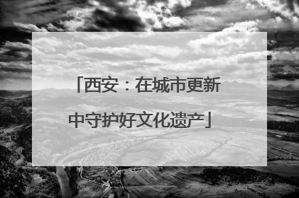 西安：在城市更新中守护好文化遗产