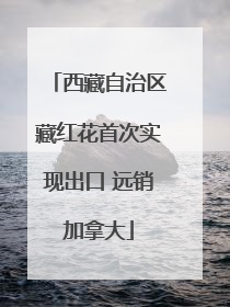 西藏自治区藏红花首次实现出口 远销加拿大